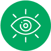 Vision icon